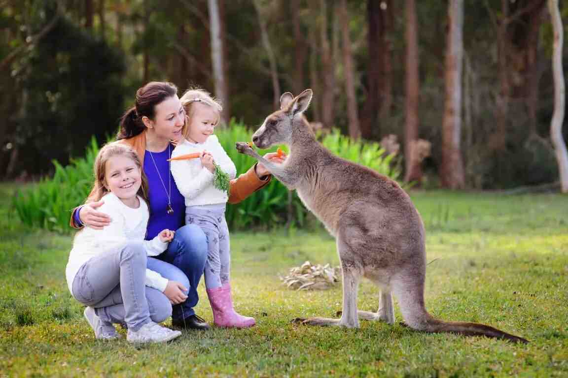 新移民後悔移民澳洲？5大常見原因與4步解決策略- 教育星球